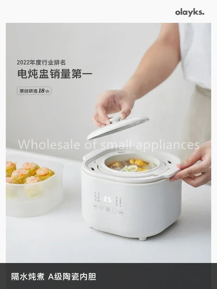 220V Small Electric Cooker, Ba - Baby Food Stew review and price