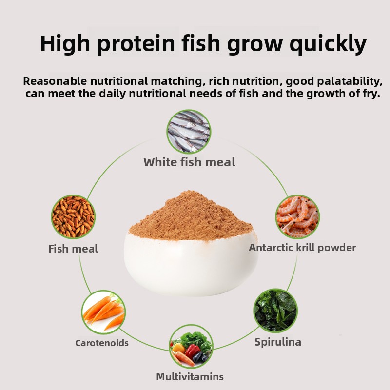 PENISON Powder Baby Fish Food, - Feeding Baby Food review and price