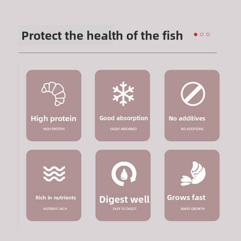 PENISON Powder Baby Fish Food, - Feeding Baby Food review and price