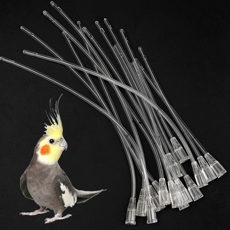 Bird Parrot Feeder Tube, Baby  - Feeding Baby Food review and price