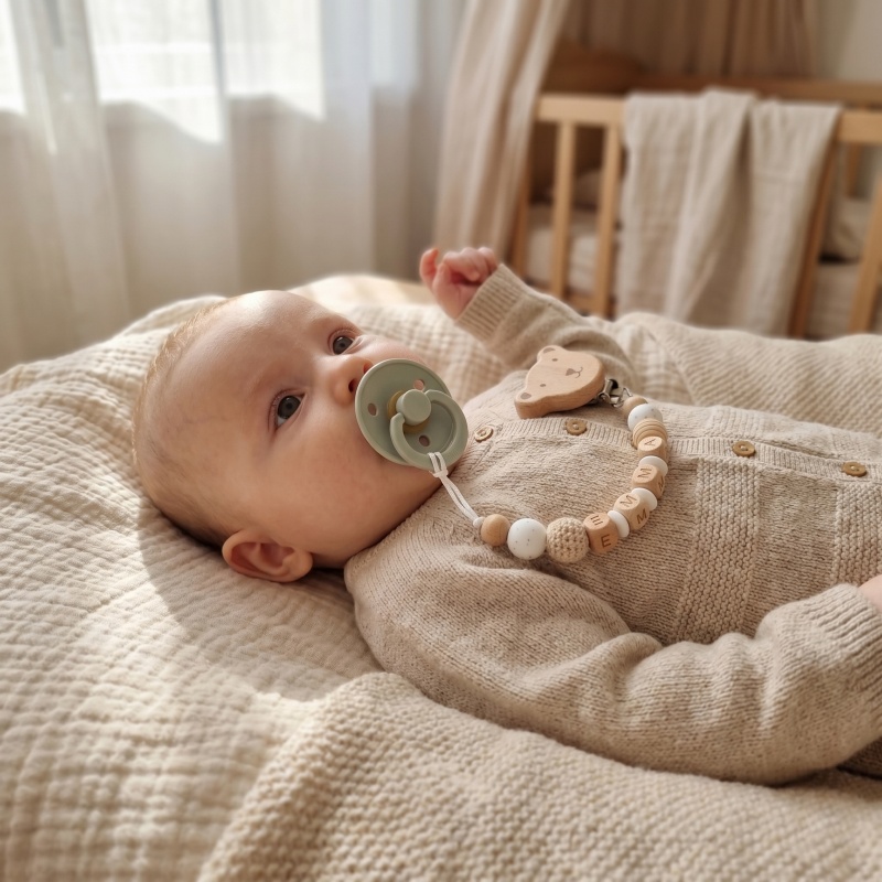 Personalized Pacifier Clip Cus - Baby Food Name review and price