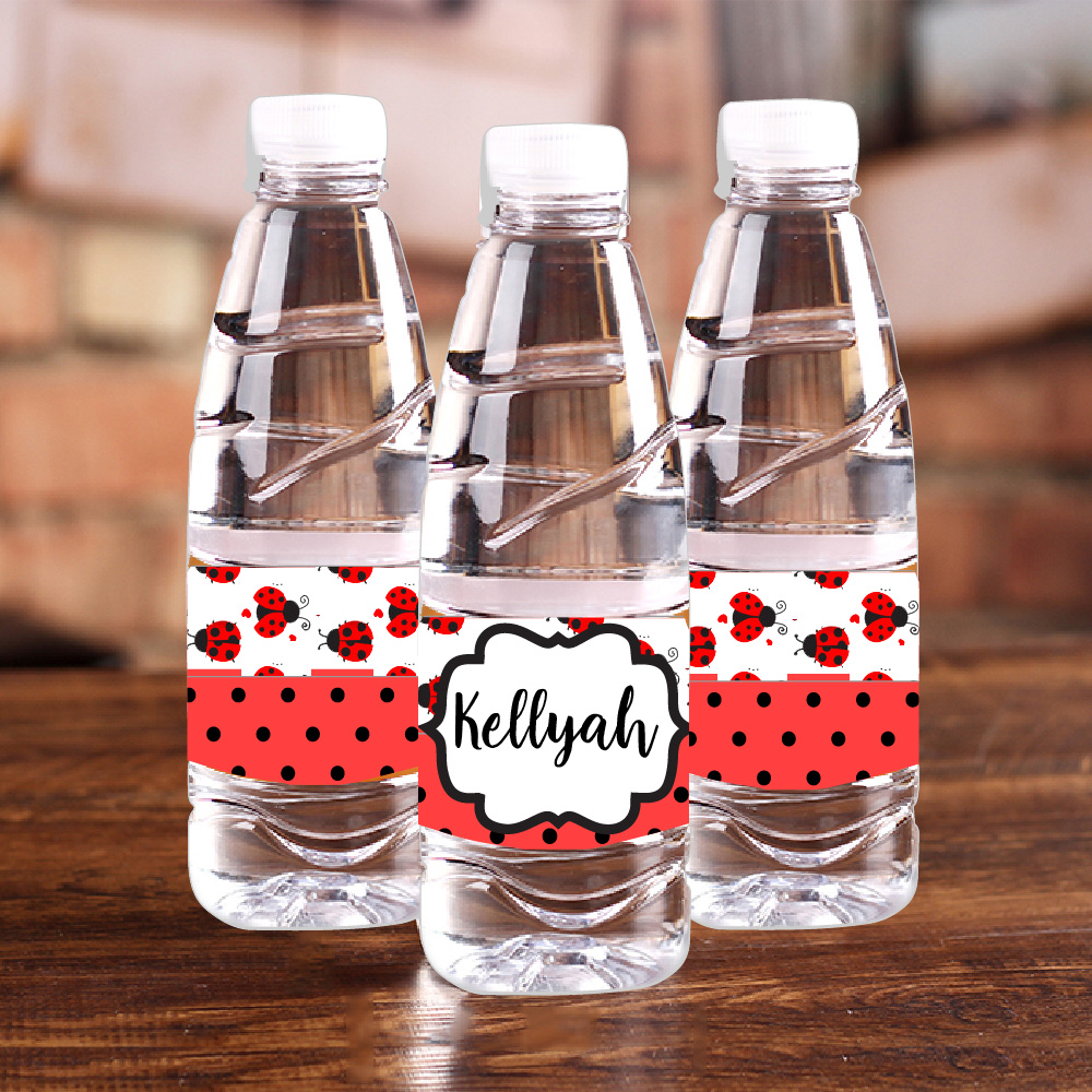 Personalised Ladybug Red Polka - Baby Food Ideas review and price
