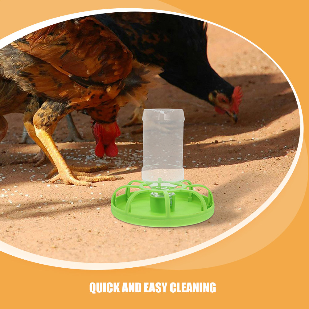 2Sets Quail Feeder Poultry Fee - Easy Baby Food review and price