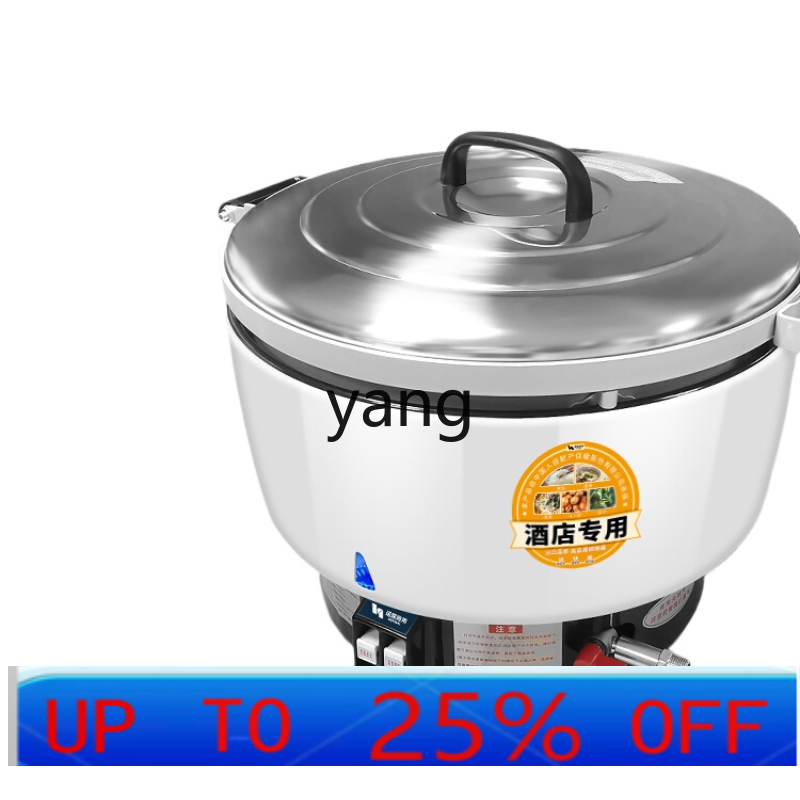 lcx Commercial Gas Large Capac - Baby Food Stew review and price