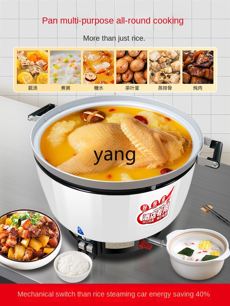 lcx Commercial Gas Large Capac - Baby Food Stew review and price